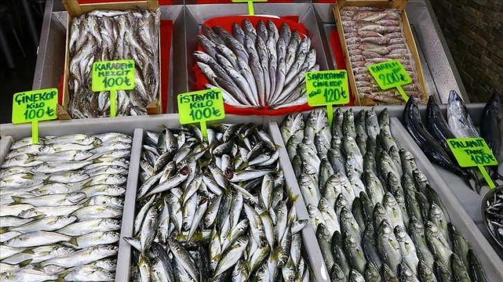 Tekirdağ'da balıkçılar poyraz nedeniyle açılamayınca balık fiyatları arttı