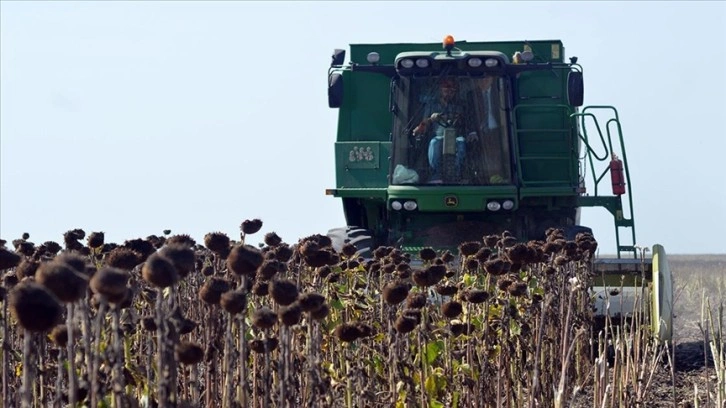 Tekirdağ'da demonstrasyon sahasına ekilen ayçiçekleri hasat edildi