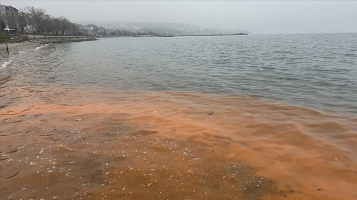 Tekirdağ'da planktonların çoğalmasıyla deniz suyu yer yer renk değiştirdi