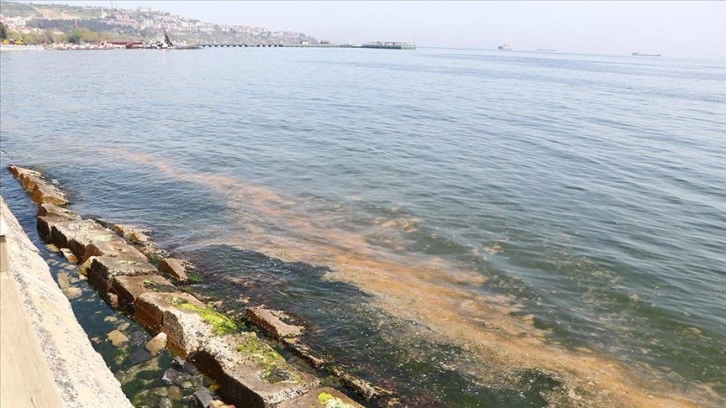 Tekirdağ'da planktonların çoğalmasıyla deniz suyunun yer yer rengi değişti