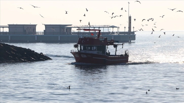 Tekirdağ'daki küçük tekne balıkçıları "karides" peşinde