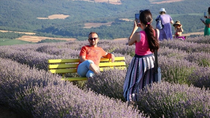 Tekirdağ'daki lavanta tarlaları ziyaretçilerini ağırlıyor