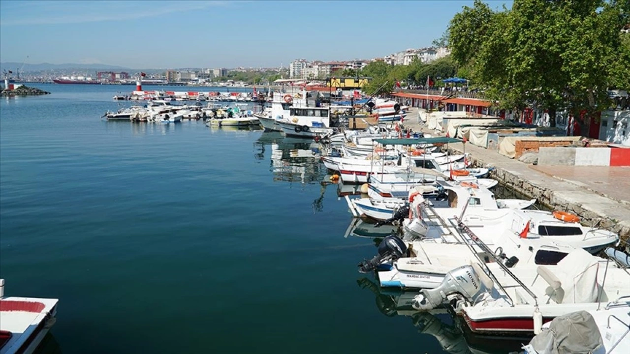 Tekirdağlı balıkçılar istavrit umuduyla denize açıldı