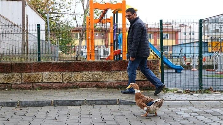 Tekirdağlı hayvansever
