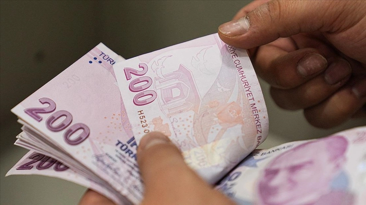 Temmuz ayı Sosyal ve Ekonomik Destek ödemeleri hesaplara yatırıldı