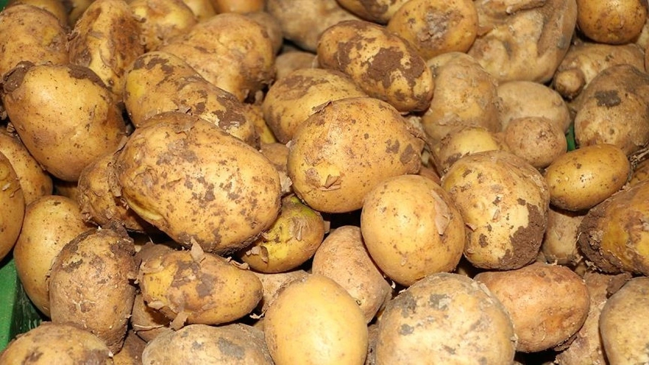 Ticaret Bakanlığından patates fiyatlarına ilişkin açıklama
