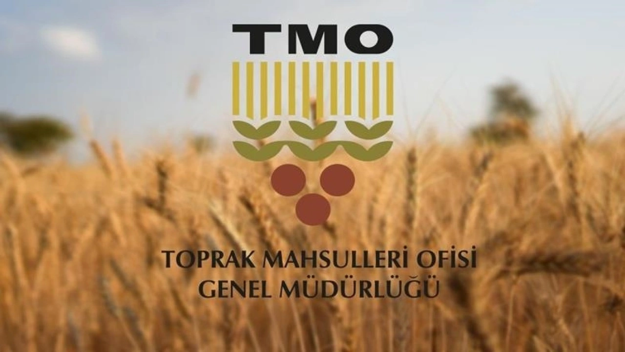 TMO'nun ithalat yoluyla tarım ürünleri almasına ilişkin usul ve esaslar belirlendi
