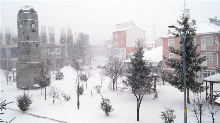 Tokat'ın ilçelerinde kar yağışı etkili oldu