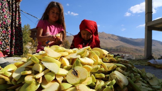 Toroslar'ın elması damlarda kurutulup 'çerçi'lere satılıyor