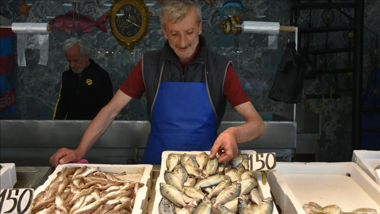 Trabzon'da balık çeşitleri tezgahları süslüyor