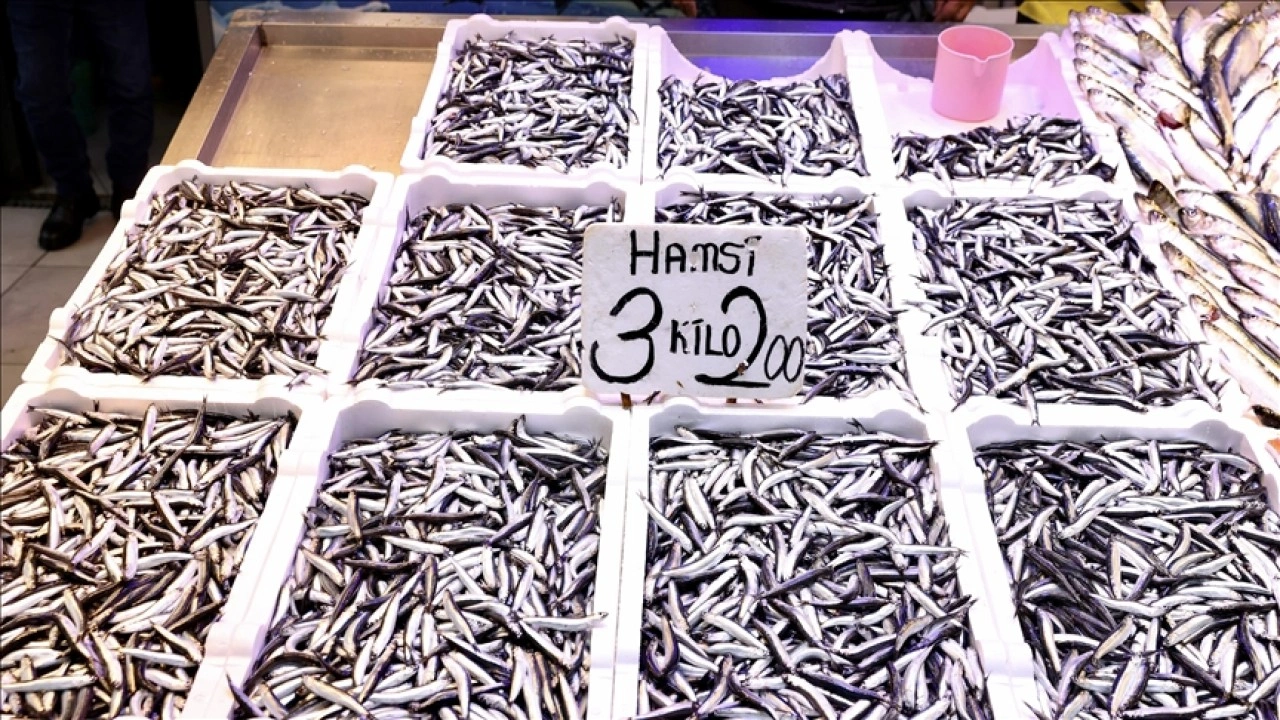 Trabzon'daki balıkçı tezgahlarında hamsinin kilogramı 75 liradan satılıyor