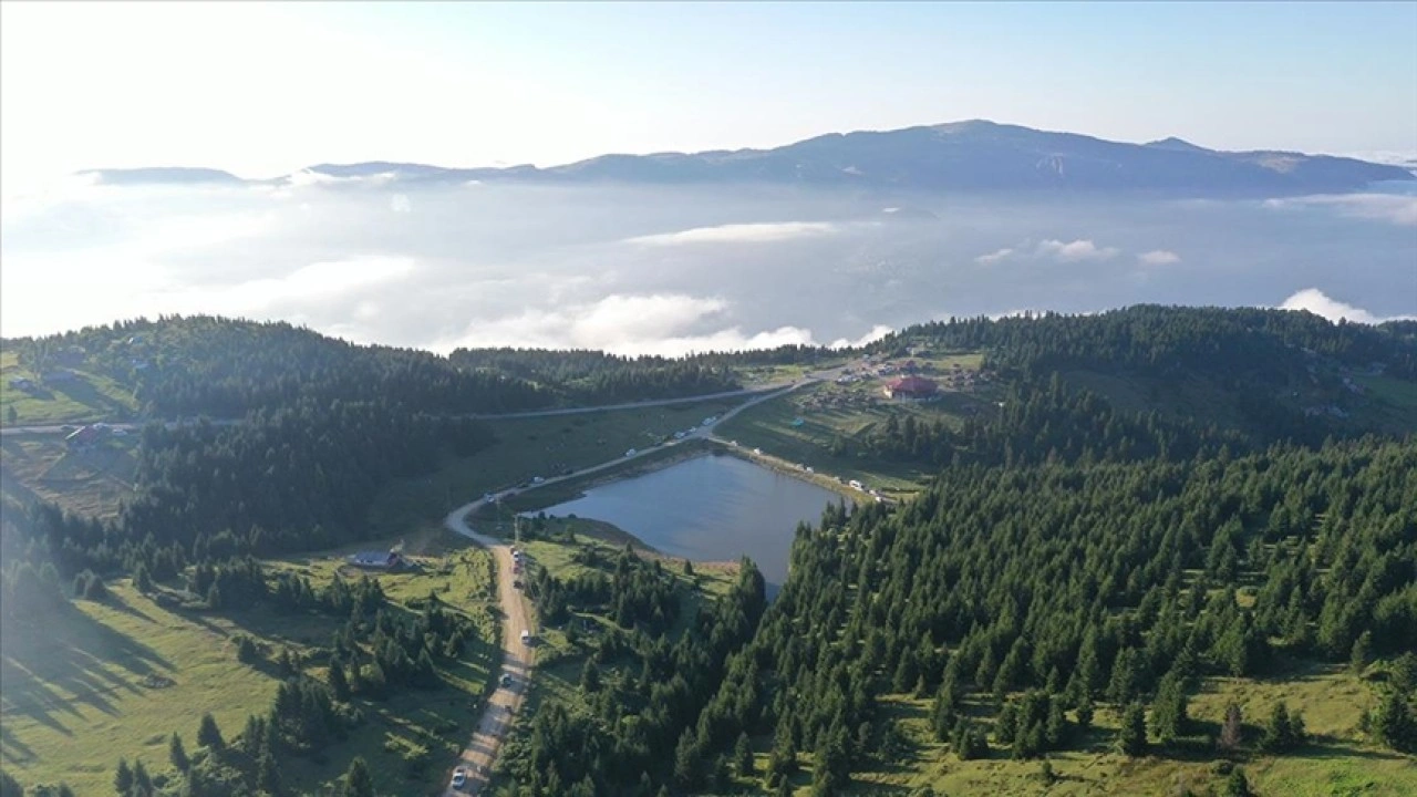 Trabzon'daki "Haçka Yaylası" doğaseverlerin rotasında yer alıyor