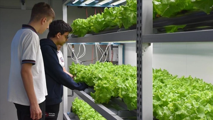 Trabzon'da meslek lisesi öğrencileri topraksız tarımla sebze yetiştiriyor