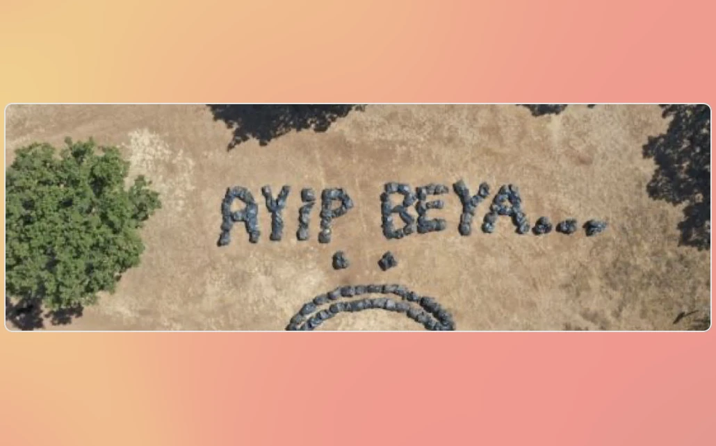 Trakya -Arzu Leyal yazdı-