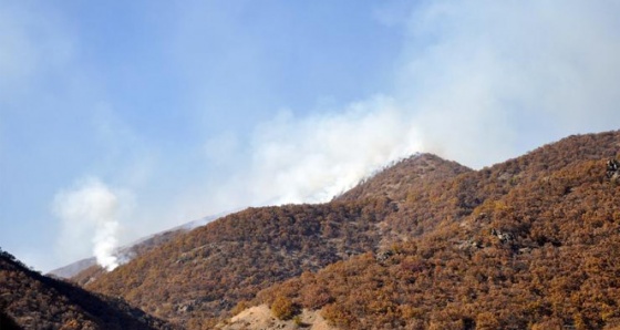 Tunceli’de PKK’ya büyük darbe: 80 terörist öldürüldü