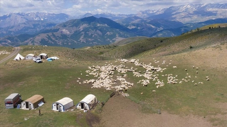 Tunceli'de huzura kavuşan yayla ve meralar artık göçerleri ağırlıyor