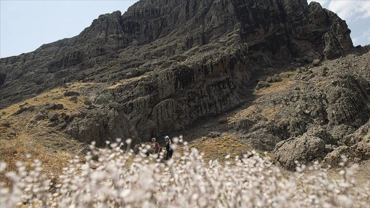 Tunceli'deki Düzgün Baba Dağı yerli ve yabancı turistleri ağırlıyor