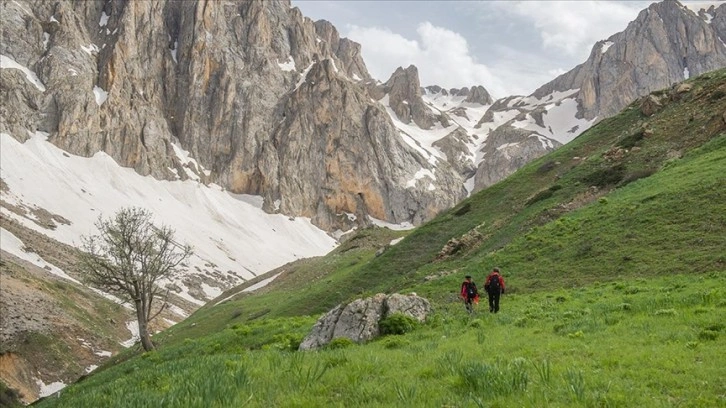 Tunceli'deki Sarıgül Yaylası doğaseverlerin yeni rotası oldu