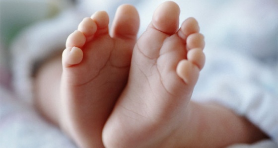 Tüp bebek tedavisinde 'embriyo havuzu' başarıyı arttırıyor