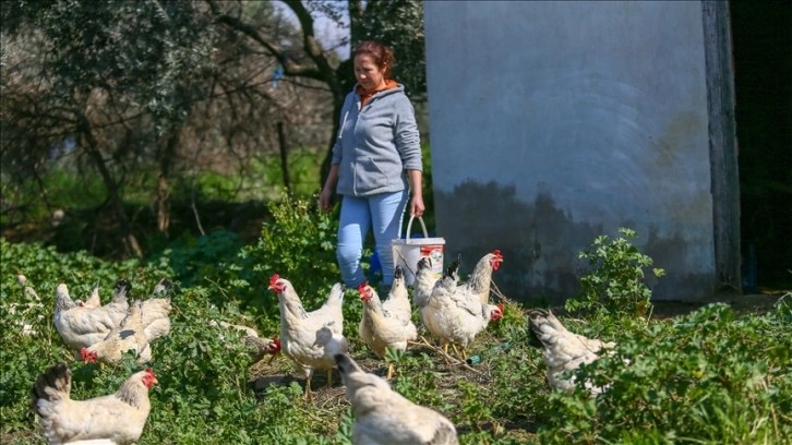 Turizmci kadın 5 yıldızlı otelleri bırakıp yerleştiği köyde doğal ürünler üretiyor