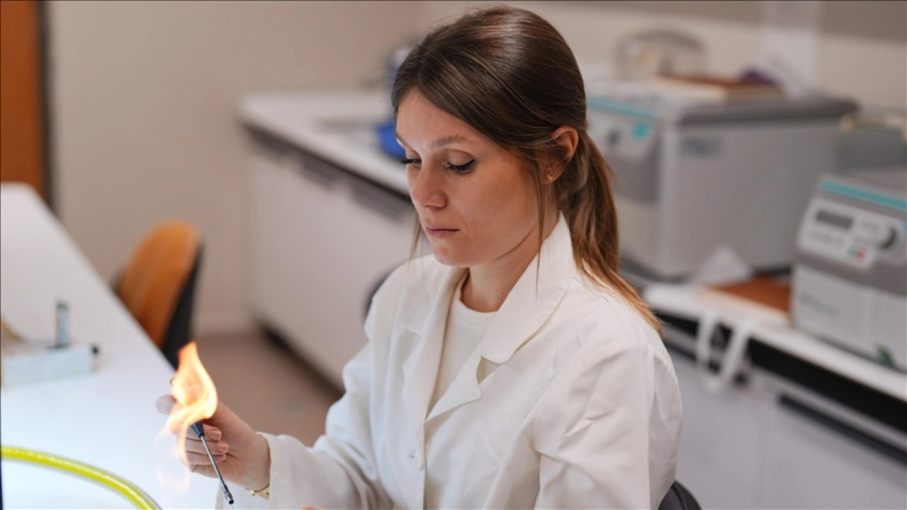 T&uuml;rk bilim insanları kıyı korozyonu risklerini yapay zekayla belirleyecek