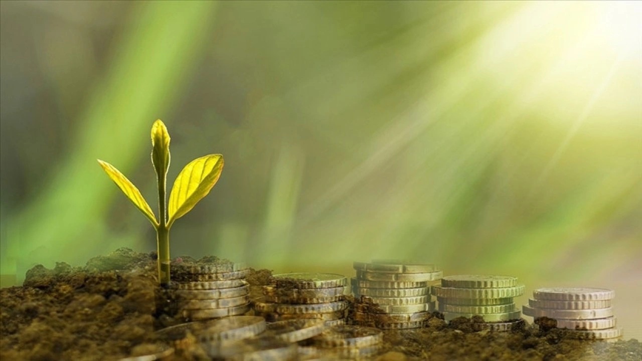 Türkiye'de bankaların iklim hedeflerine yönelik adımları sınırlı kaldı