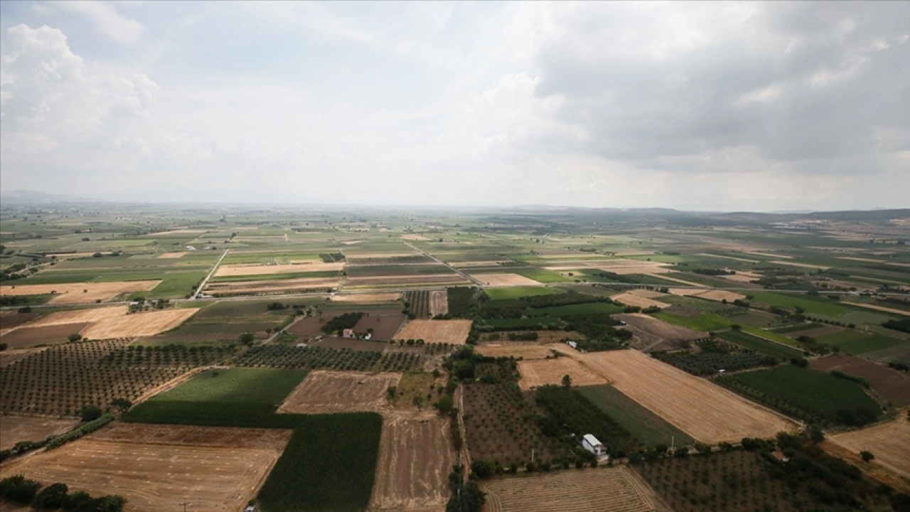 Türkiye'de erozyonla her 16 yılda 1 santimetre toprak kaybediliyor