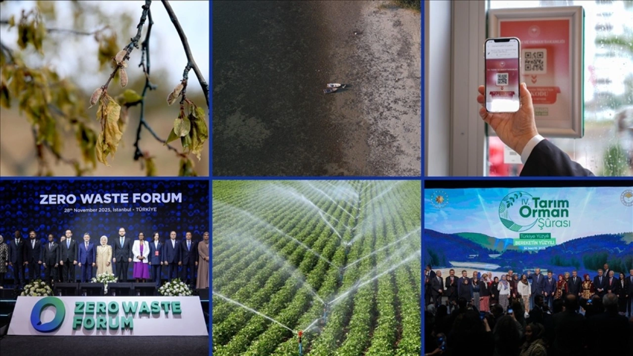 T&uuml;rkiye'de tarım alanında 2025 b&ouml;yle ge&ccedil;ti