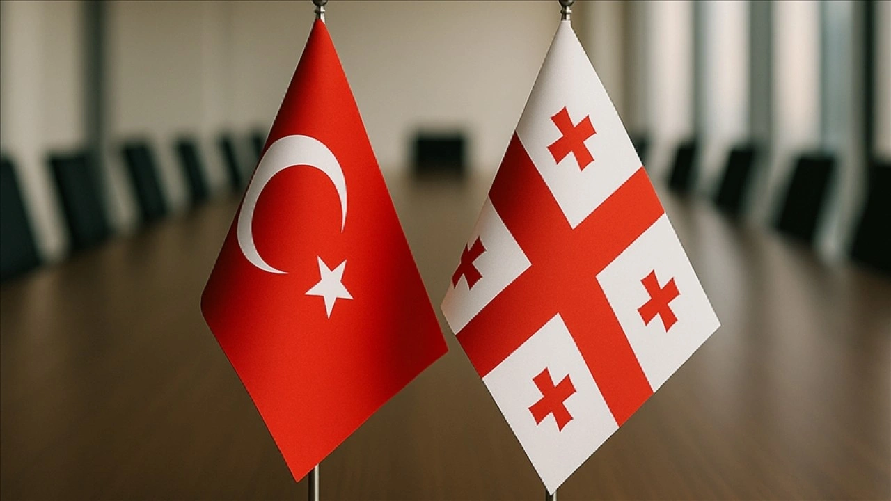 Türkiye-Gürcistan Serbest Ticaret Anlaşması'nın menşe kuralları revize edilecek