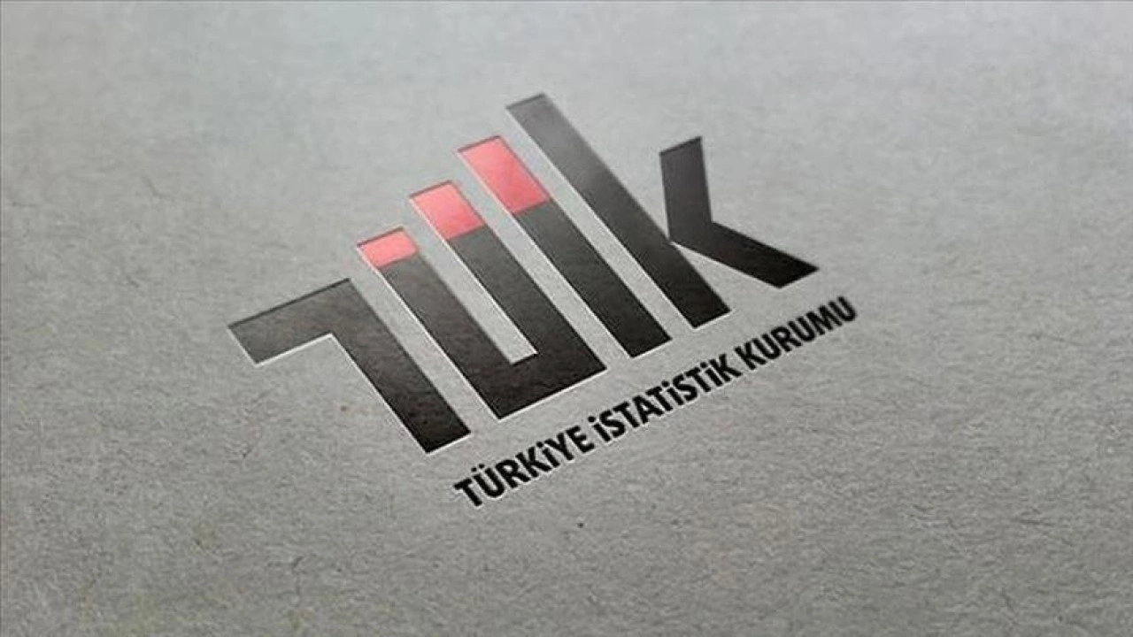 Türkiye İstatistik Kurumu 12 uzman yardımcısı alacak
