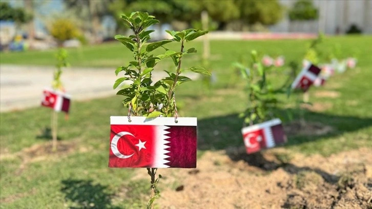 Türkiye-Katar ilişkilerinin 50'nci, Cumhuriyet'in 100. yılı dolayısıyla Doha'da 150 fidan