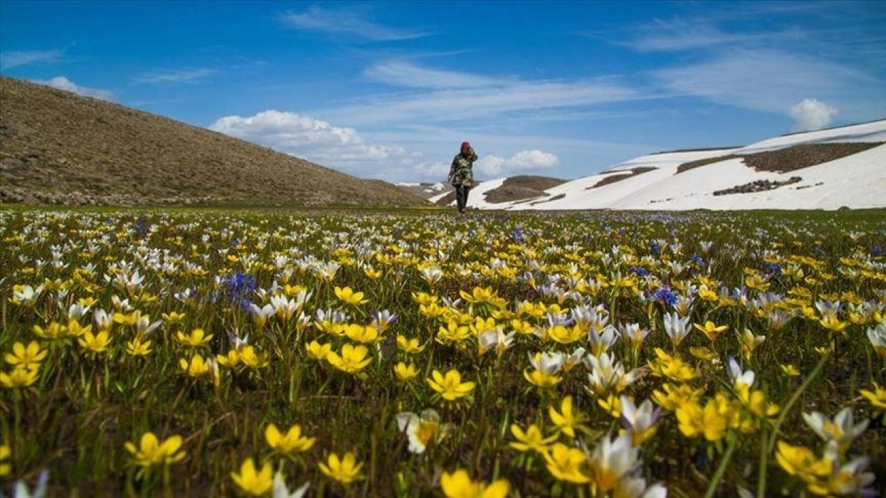 Türkiye'nin bitki bazlı gıdalardaki potansiyeli artıyor