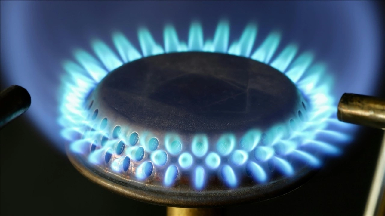 Türkiye'nin doğal gaz ihracat potansiyeli özel sektörün etkin katılımıyla artabilir