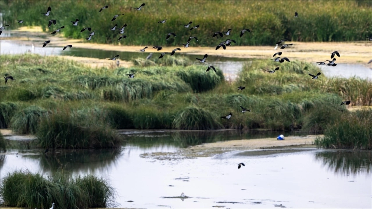 T&uuml;rkiye'nin doğal sit alanı b&uuml;y&uuml;kl&uuml;ğ&uuml; 28 bin 907 kilometrekareye ulaştı