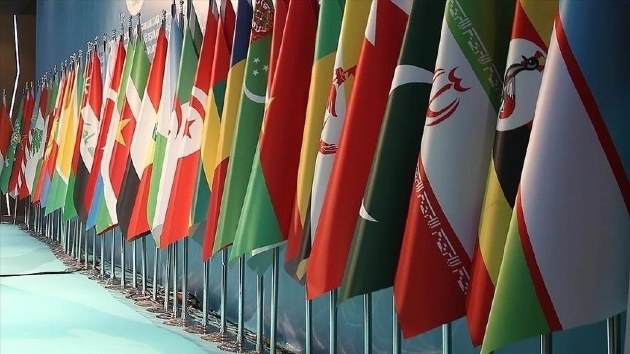 Türkiye'nin İslam İşbirliği Teşkilatı çalışmalarına katkısı sürüyor