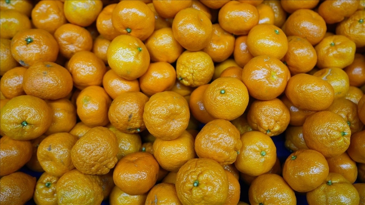 T&uuml;rkiye'nin mandalina ihracatı rekora ulaştı