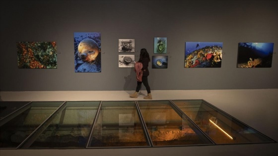 Türkiye'nin su altı zenginliğini gösteren 'Mavi Miras' sergisi başkentte açıldı
