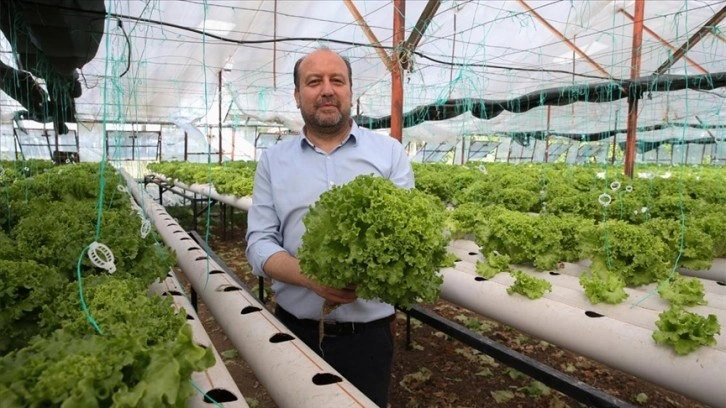 Uçak mühendisi çalıştığı işini bırakarak topraksız tarımla sebze üretiyor