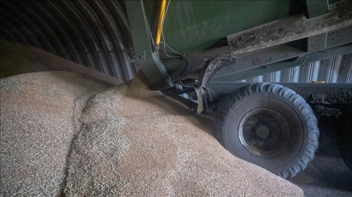Ukrayna, 160 ton buğdayını yere döken çiftçiler nedeniyle Polonya’dan açıklama istedi