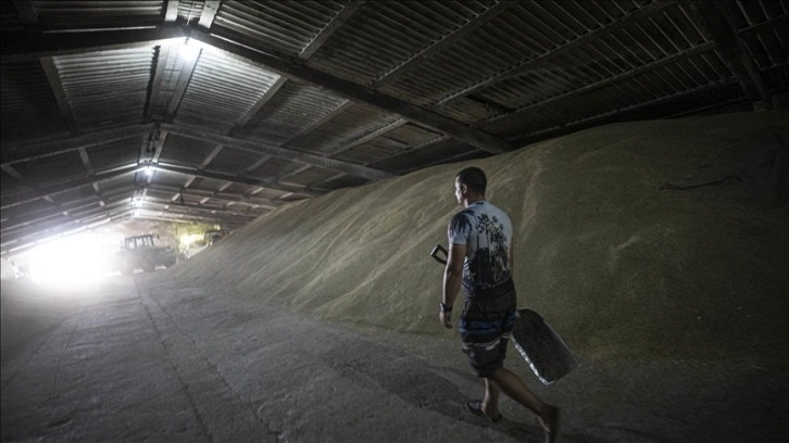 Ukrayna limanlarından 17 günde 622 bin tondan fazla tahıl sevkiyatı yapıldı