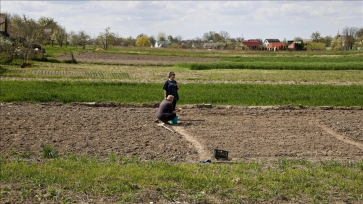 Ukrayna'nın Lipivka köyünde Rus saldırılarının ardından mahsul ekimine başlandı