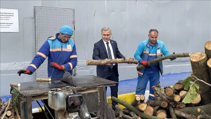 Üsküdar'da budanan dallar ihtiyaç sahiplerine yakacak olarak dağıtılıyor