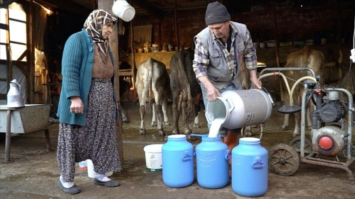 Uzak köylerdeki üreticinin sütü kalkınma ajansı desteğiyle pazarlanıyor