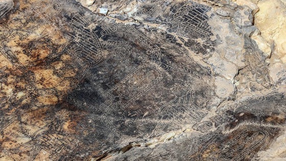 Van'da 2 bin 700 yıllık mozaik işlemeli platform bulundu