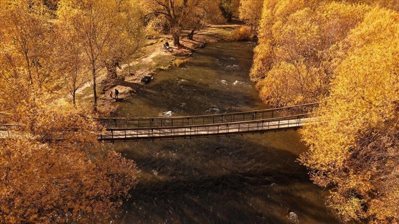 Van'daki İnci Kefali Tabiat Parkı sonbahar renklerine büründü