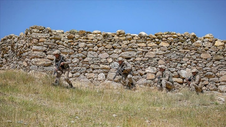 Van'da bir haftadaki terör operasyonlarında 25 şüpheli gözaltına alındı