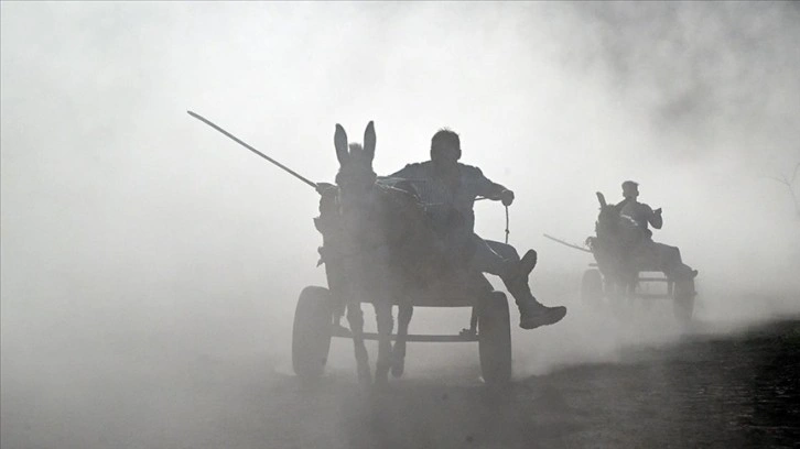 Van'da 'eşek arabası yarışları' yapıldı