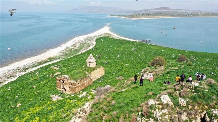 Van'da fotoğraf tutkunları ilkbaharda renklenen Çarpanak Adası'nı görüntüledi