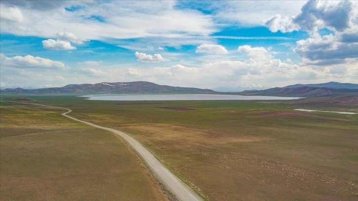 Van'da yazın kuruyan Akgöl, son yağışlarla yeniden suyla doldu