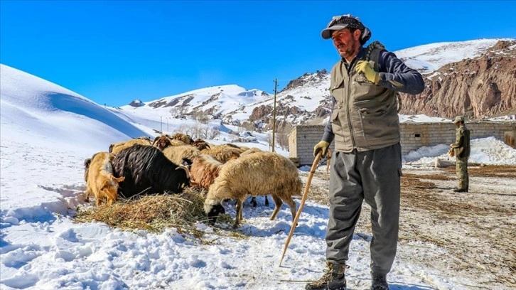 Van'daki yağışlar tarım arazilerine bereket katacak